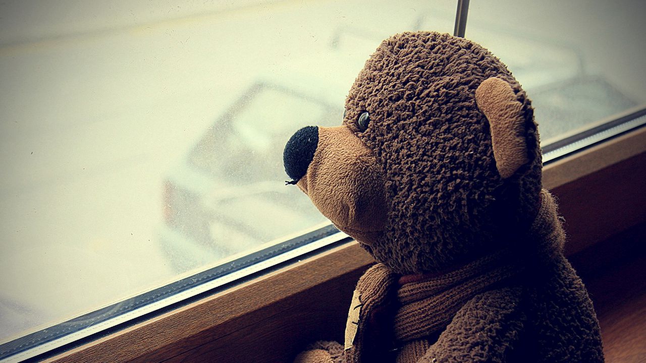Обои плюшевый медведь, игрушка, чашка, кофе, окно, ожидание, настроение