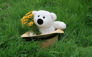 Превью обои плюшевый медведь, шляпа, трава, цветы, подарок