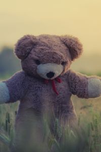 Превью обои плюшевый мишка, игрушка, трава
