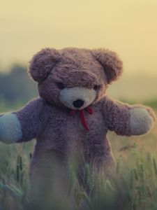Превью обои плюшевый мишка, игрушка, трава