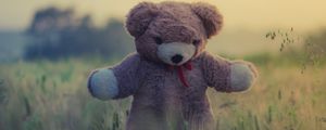 Превью обои плюшевый мишка, игрушка, трава