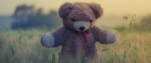 Превью обои плюшевый мишка, игрушка, трава