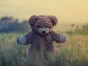 Превью обои плюшевый мишка, игрушка, трава