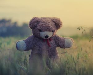 Превью обои плюшевый мишка, игрушка, трава