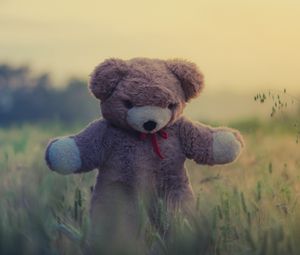 Превью обои плюшевый мишка, игрушка, трава