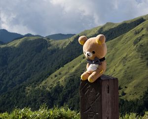 Превью обои плюшевый мишка, медведь, игрушка, иероглифы, горы