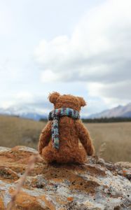 Превью обои плюшевый мишка, одиночество, игрушка, камень