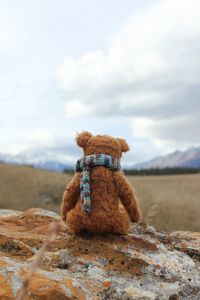 Превью обои плюшевый мишка, одиночество, игрушка, камень