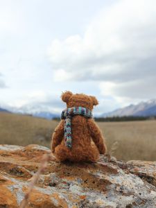 Превью обои плюшевый мишка, одиночество, игрушка, камень