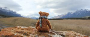 Превью обои плюшевый мишка, одиночество, игрушка, камень