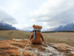 Превью обои плюшевый мишка, одиночество, игрушка, камень