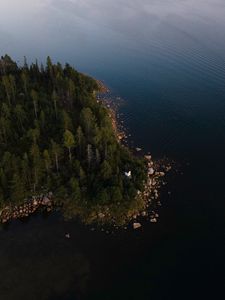 Превью обои побережье, деревья, вид сверху, лес, вода