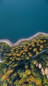 Превью обои побережье, деревья, вид сверху, лес, вода, дорога