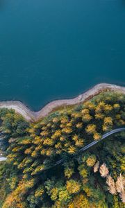 Превью обои побережье, деревья, вид сверху, лес, вода, дорога