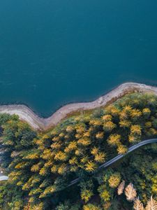 Превью обои побережье, деревья, вид сверху, лес, вода, дорога