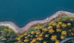 Превью обои побережье, деревья, вид сверху, лес, вода, дорога