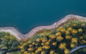 Превью обои побережье, деревья, вид сверху, лес, вода, дорога