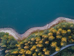 Превью обои побережье, деревья, вид сверху, лес, вода, дорога