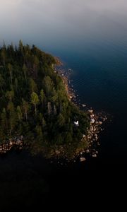 Превью обои побережье, лес, деревья, вода, вид сверху