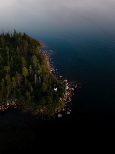 Превью обои побережье, лес, деревья, вода, вид сверху