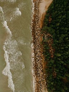 Превью обои побережье, море, деревья, вид сверху