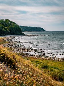 Превью обои побережье, море, кусты, склон, небо