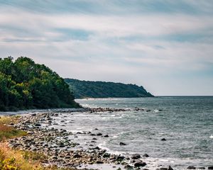 Превью обои побережье, море, кусты, склон, небо