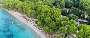 Превью обои побережье, море, песок, деревья, пляж