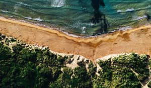 Превью обои побережье, море, растительность, пляж, песок, прибой, вид сверху