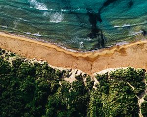 Превью обои побережье, море, растительность, пляж, песок, прибой, вид сверху