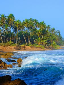 Превью обои побережье, море, вода, пальмы, камни, природа