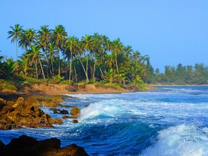 Превью обои побережье, море, вода, пальмы, камни, природа