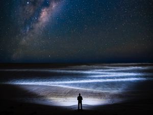 Превью обои побережье, ночь, силуэт, звездное небо, океан