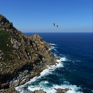 Превью обои побережье, скалы, птица, море, пейзаж