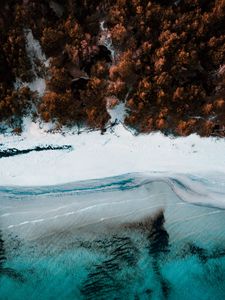 Превью обои побережье, вид сверху, море, пляж, лес, деревья