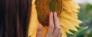Превью обои подсолнух, рука, цветок, девушка