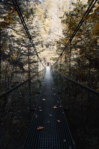 Превью обои подвесной мост, мост, лес, деревья, опавшая листва