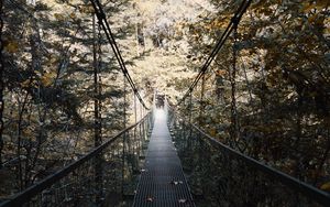 Превью обои подвесной мост, мост, лес, деревья, опавшая листва