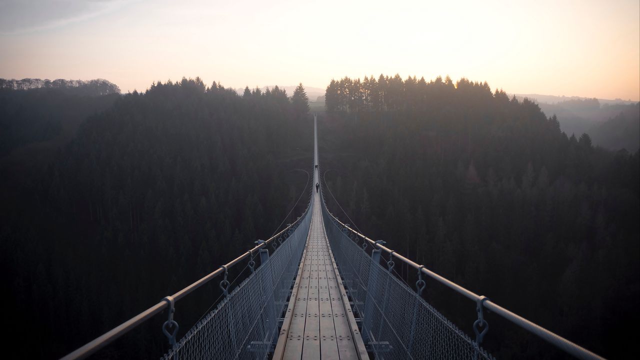 Обои подвесной мост, мост, туман, лес
