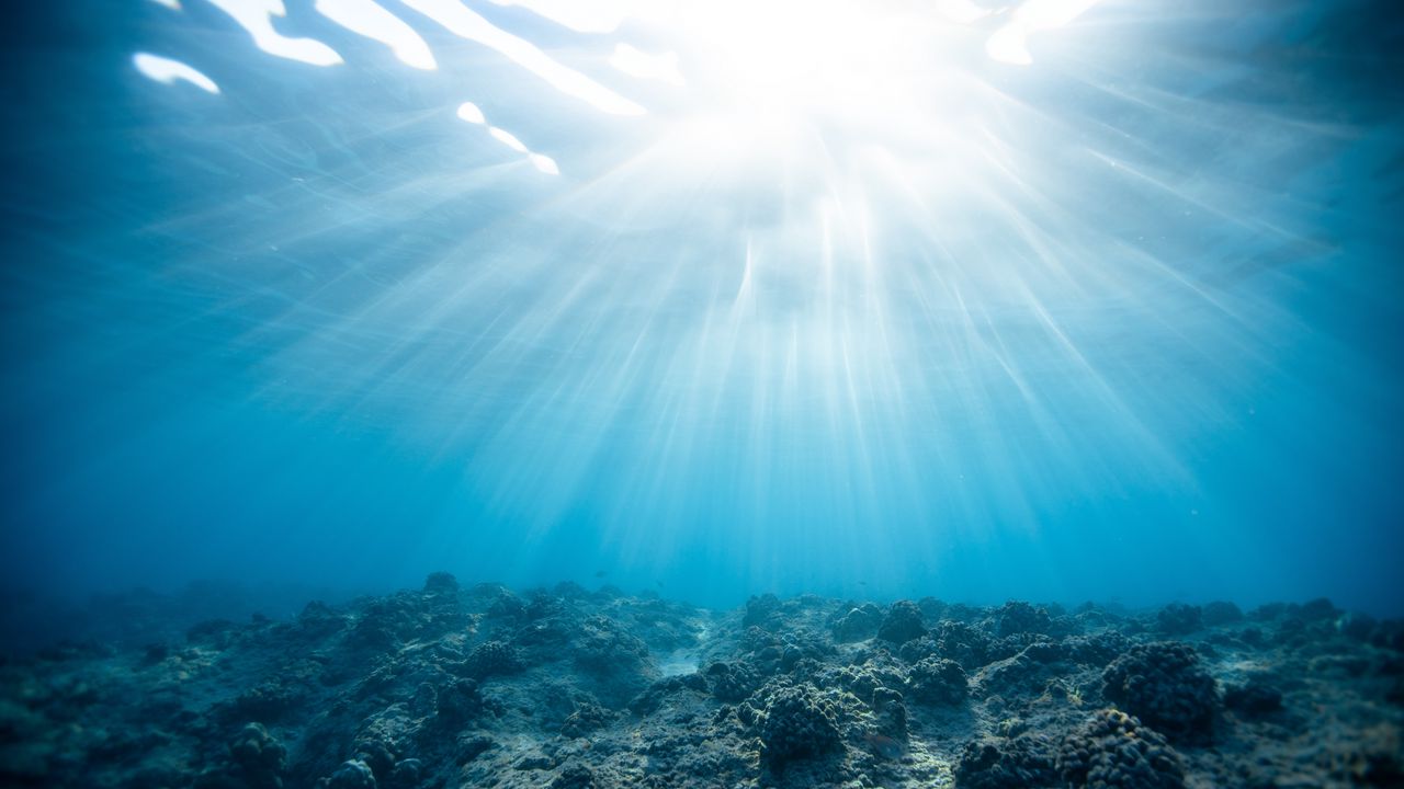 Обои подводный мир, океан, кораллы, свет