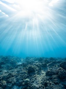 Превью обои подводный мир, океан, кораллы, свет