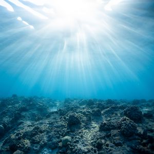 Превью обои подводный мир, океан, кораллы, свет