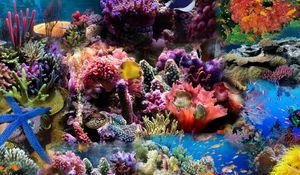 Превью обои подводный мир, рыбы, кораллы