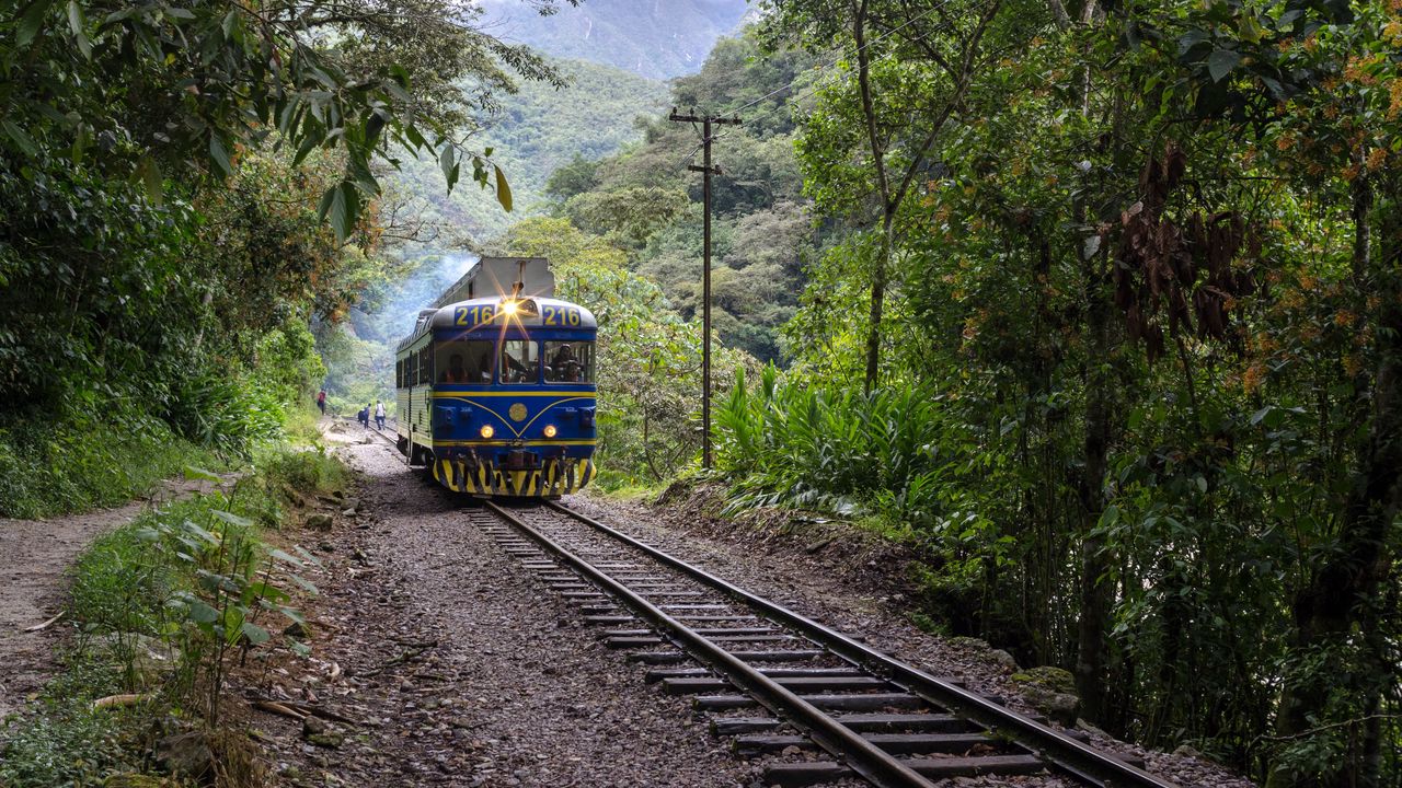 Обои поезд, деревья, лес, железная дорога