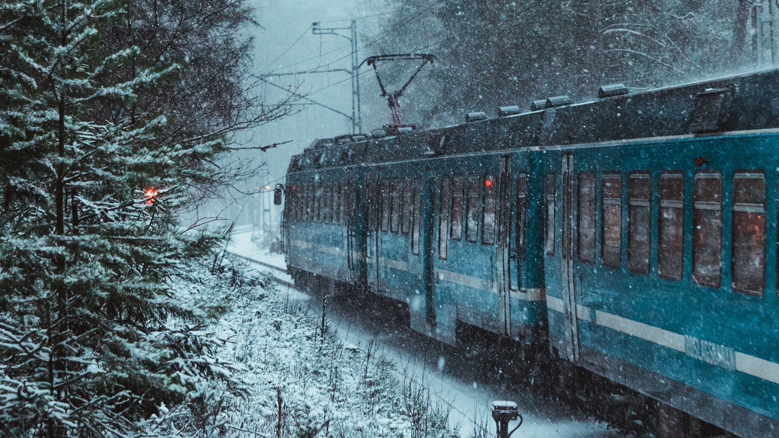 Поезд в заснеженном лесу