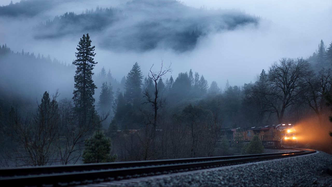 Обои поезд, туман, железная дорога, свет, деревья