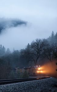 Превью обои поезд, туман, железная дорога, свет, деревья