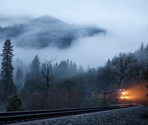 Превью обои поезд, туман, железная дорога, свет, деревья