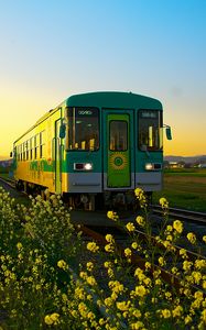 Превью обои поезд, вагон, железная дорога, цветы, желтый