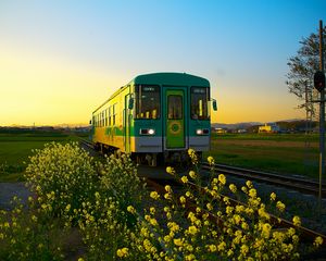 Превью обои поезд, вагон, железная дорога, цветы, желтый